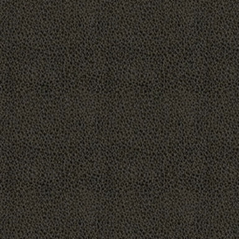 Claro 909 Charcoal Fabric