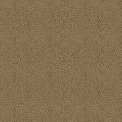 Claro 606 Tan Fabric