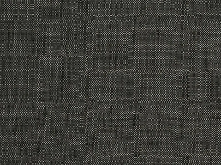 Clearwater Black Pearl Covington Fabric