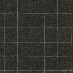 Concord Pane 408503 Sable Performance+ Fabric