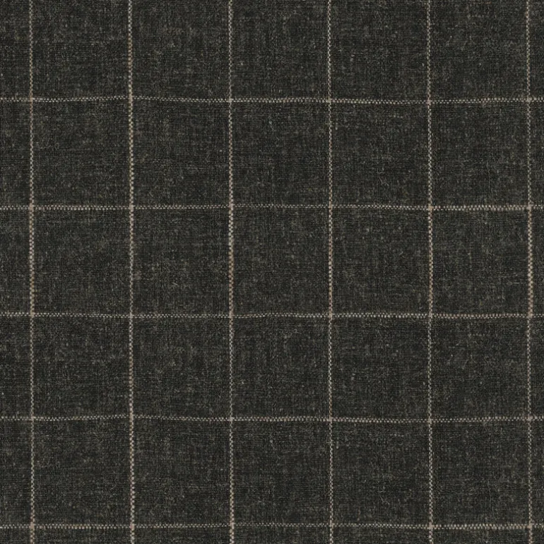 Concord Pane 408503 Sable Performance+ Fabric