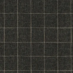 Concord Pane Sable Performance + PK Lifestyles Fabric