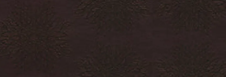 Continuous 17 Auburn Fabric