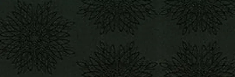 Continuous 9009 Black Fabric