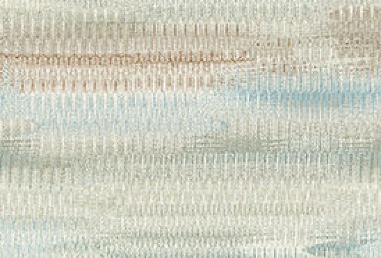 Curious 302 Placid Fabric