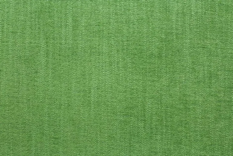 Daily Greenery Crypton Fabric