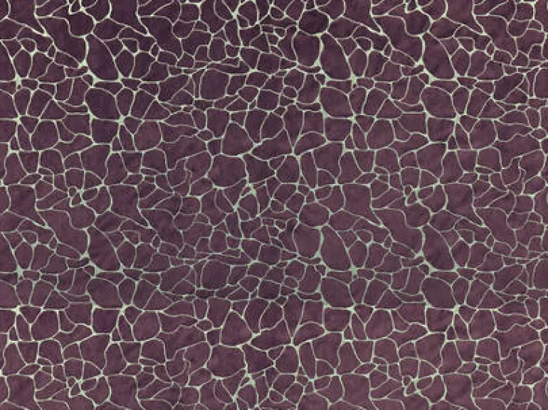 Dare 427 Heather Moon Covington Fabric