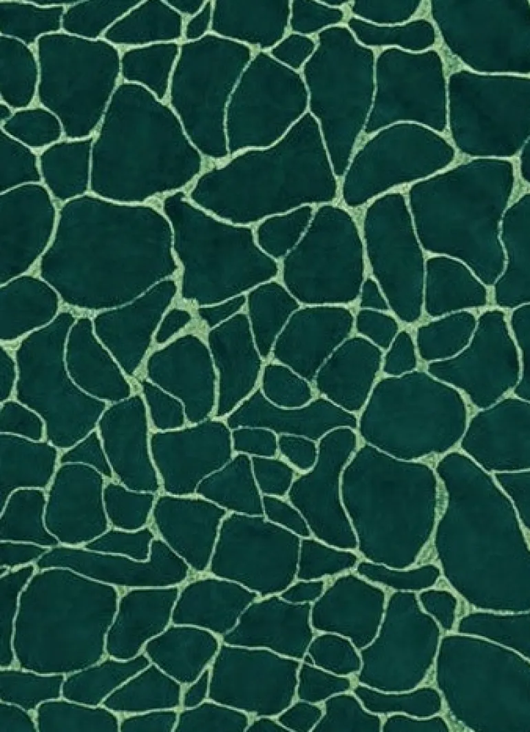 Dare Laguna Covington Fabric