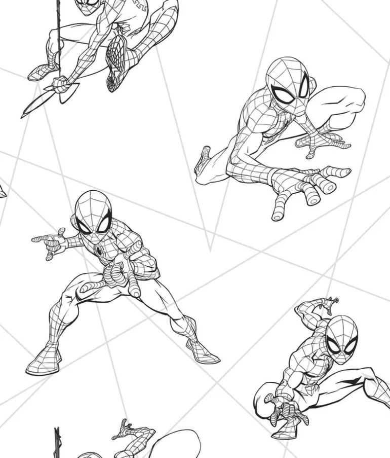 DI0940 Black/Gray Spider-Man Fracture Wallpaper