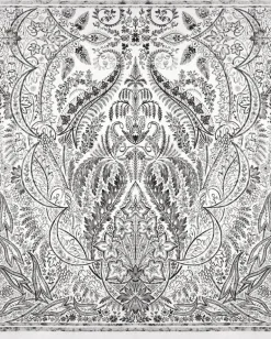 DM4911M Black White Jaipur Paisley Damas Wallpaper Mural