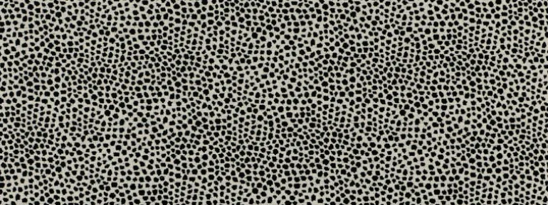 Dotify 916 Ebony Ivory Covington Fabric