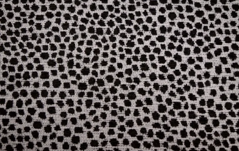 Dotify Ebony Ivory Covington Fabric