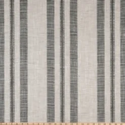 Double Issue Onyx Swavelle Mill Creek Fabric