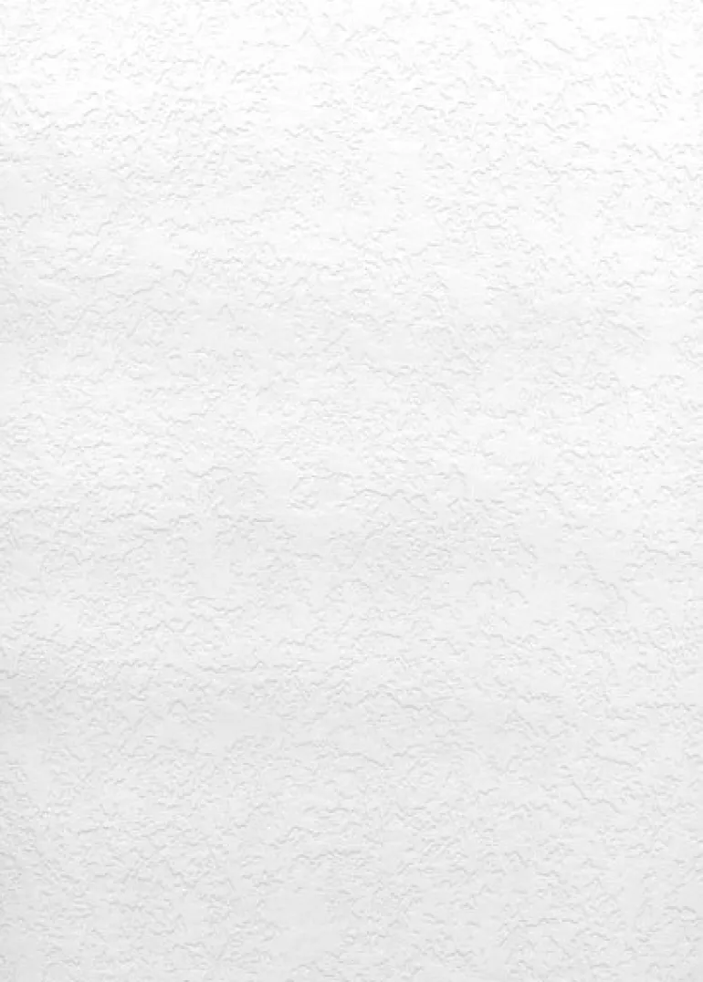 Dunlap Paintable Plaster Texture Wallpaper