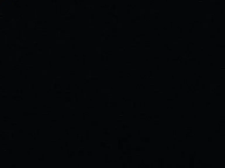 Eagan 905 Ebony Covington Fabric