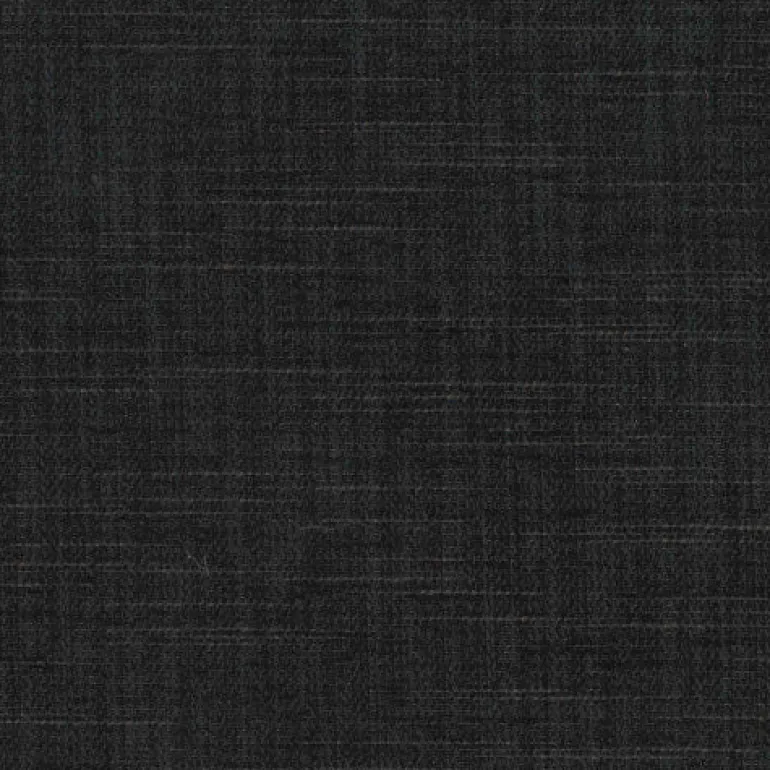 Edward Coal Regal Fabric