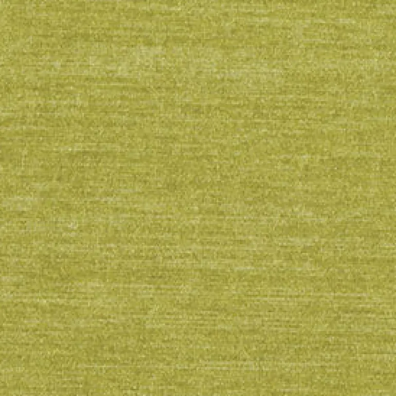 Elizabeth 202 Citrine Fabric