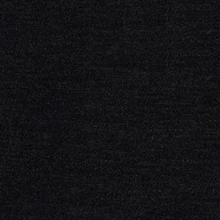 Elizabeth 9009 Ebony Fabric