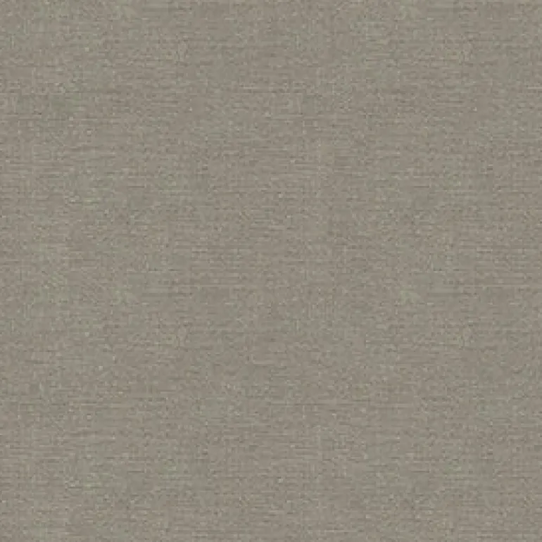 Exuberance 9006 Pewter Fabric