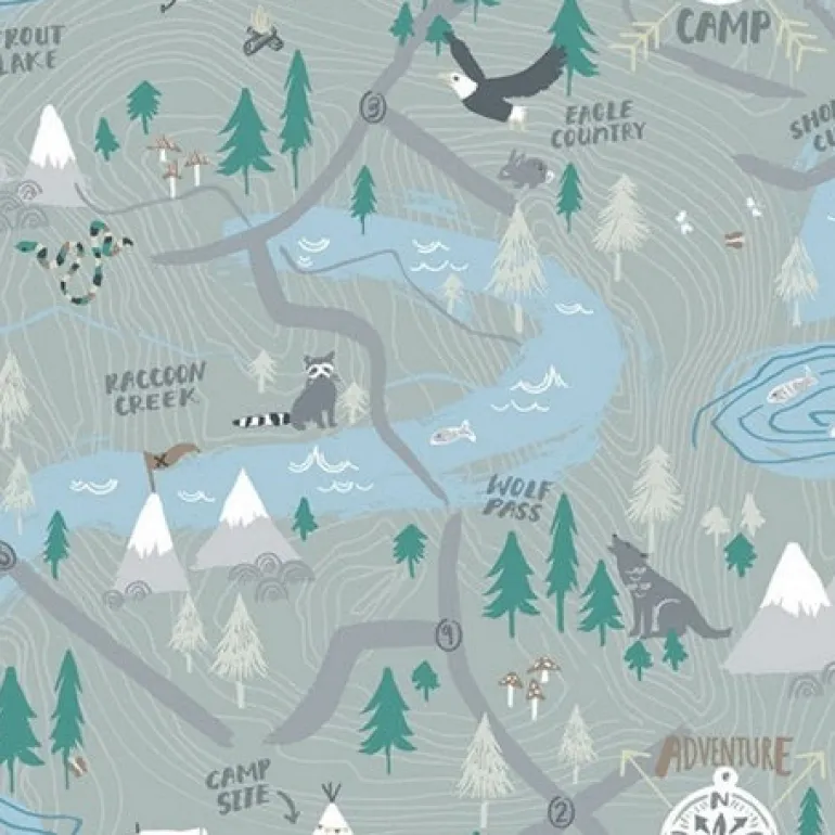 FA41908 Campground Wallpaper