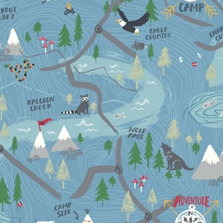 FA41902 Campground Wallpaper