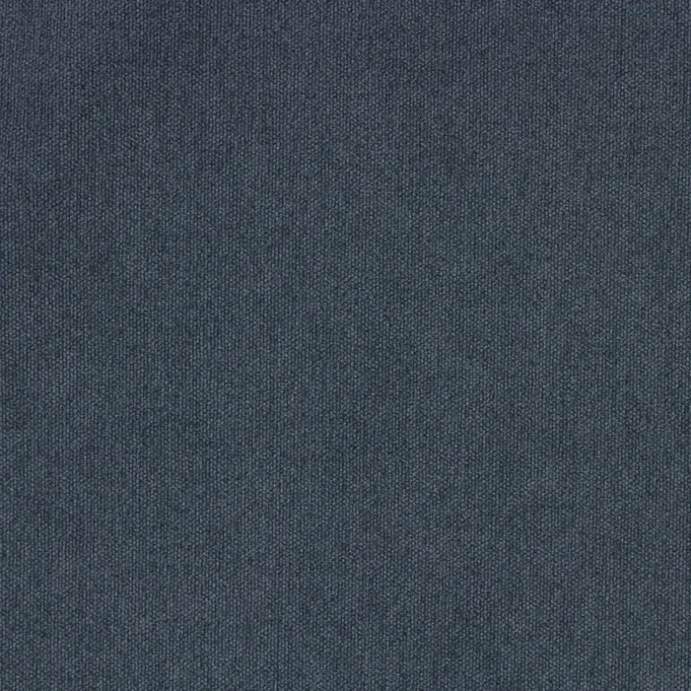 Favorite Denim Richloom Fabric