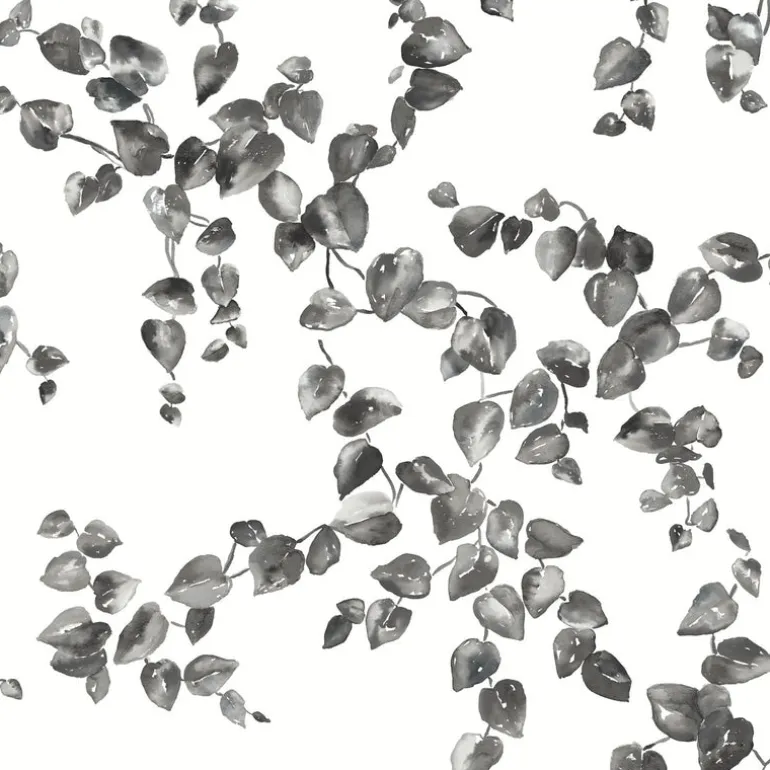 FH4038 Black/White Creeping Fig Vine Wallpaper