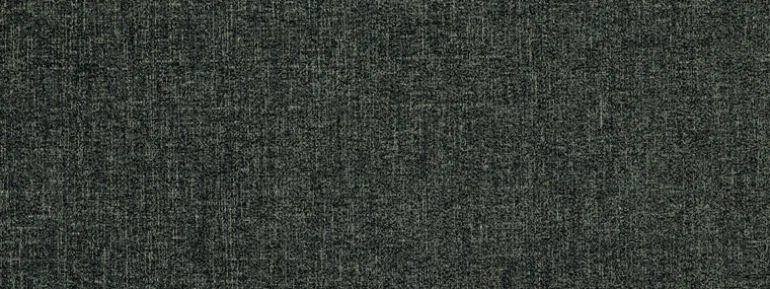 Fluff Daddy 909 Carbon Covington Fabric