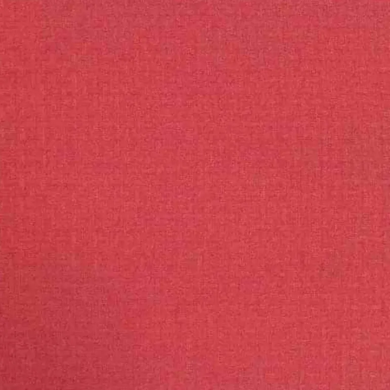Forum Watermelon Regal Fabric