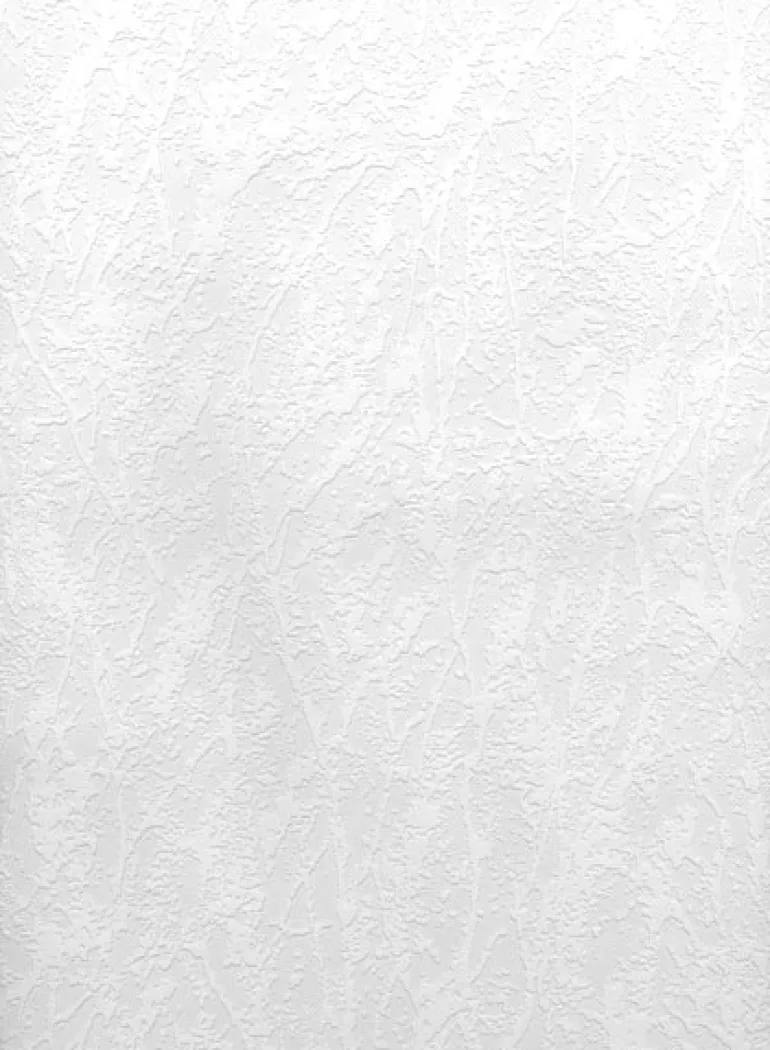 Freese Paintable Plaster Texture Wallpaper