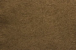 From The Gecko Taupe Swavelle Mill Creek Fabric