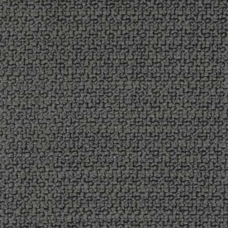 Future Graphite Regal Fabric