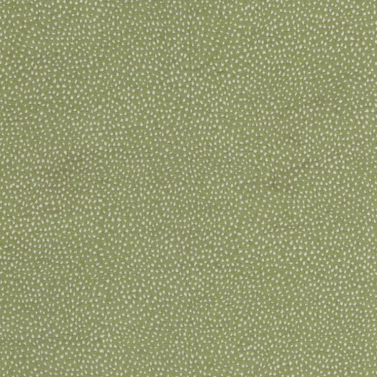 Galaxy Aloe Tempo Fabric