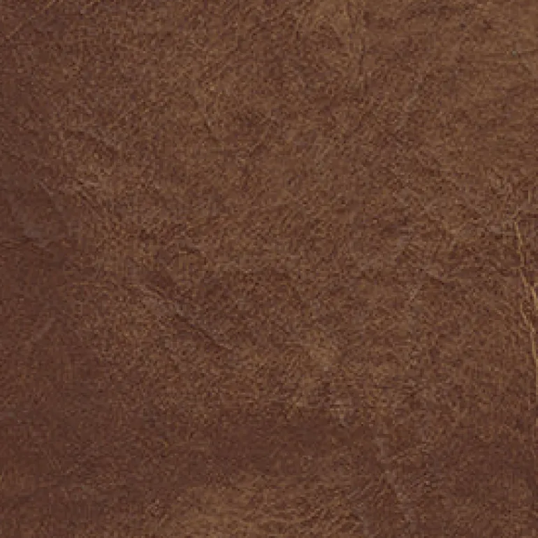 Gaucho 888 Desert Sand Fabric