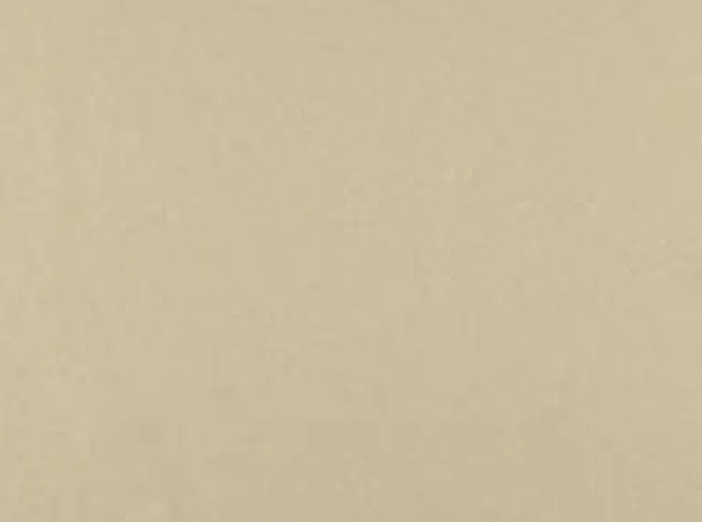 Goa 10 Champagne Covington Outdoor Fabric
