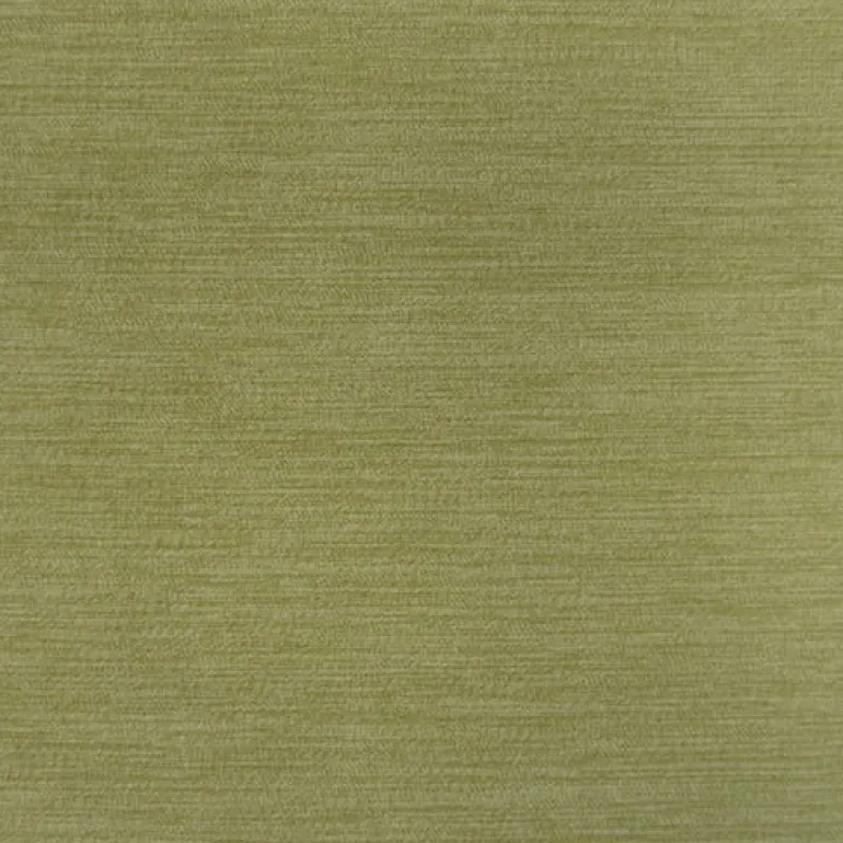 Graceland Lichen Crypton Fabric