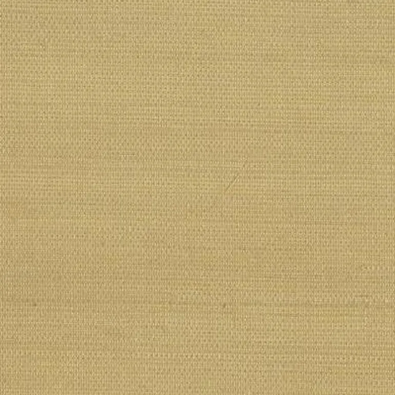 Grasscloth Resource Imperial Wallpaper (SC5835_B23)