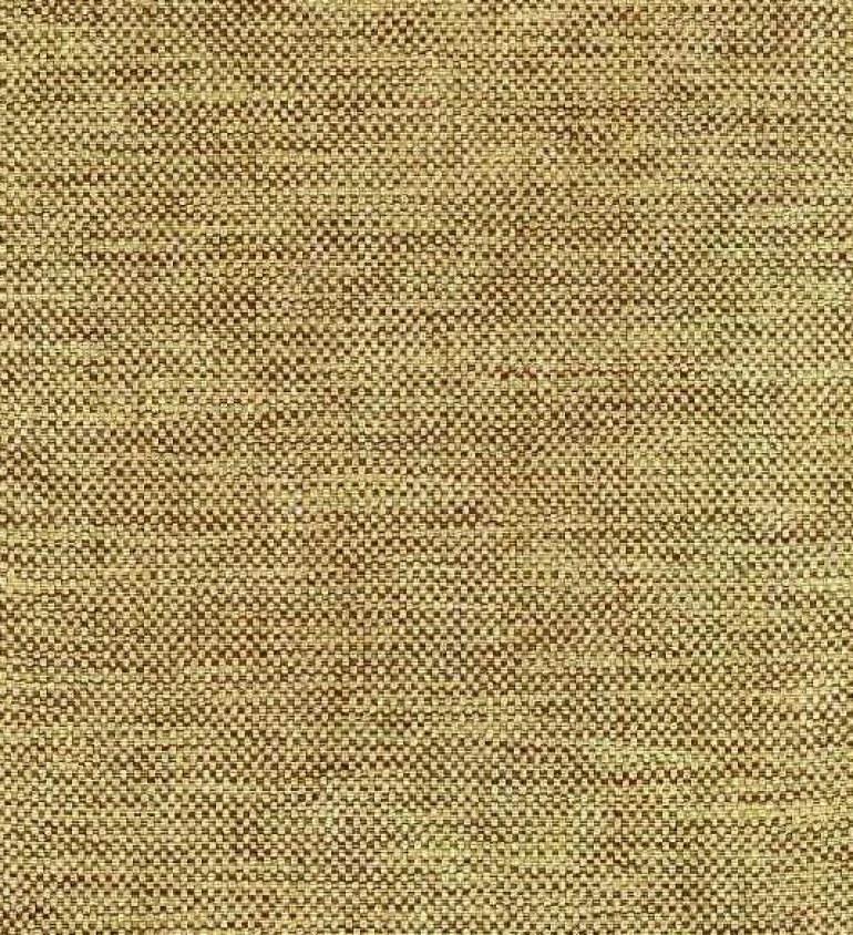 Groupie Buff Pkaufmann Fabric