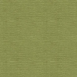 Heavenly 2008 Chartreuse Fabric