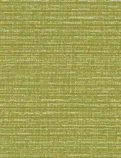 Imagine 205 Sprig Fabric