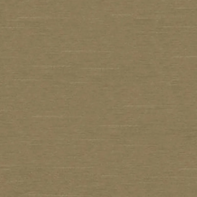 Inspired 807 Mink Fabric