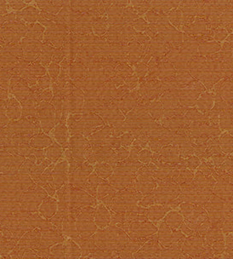 Iridescence 44 Pumpkin Fabric