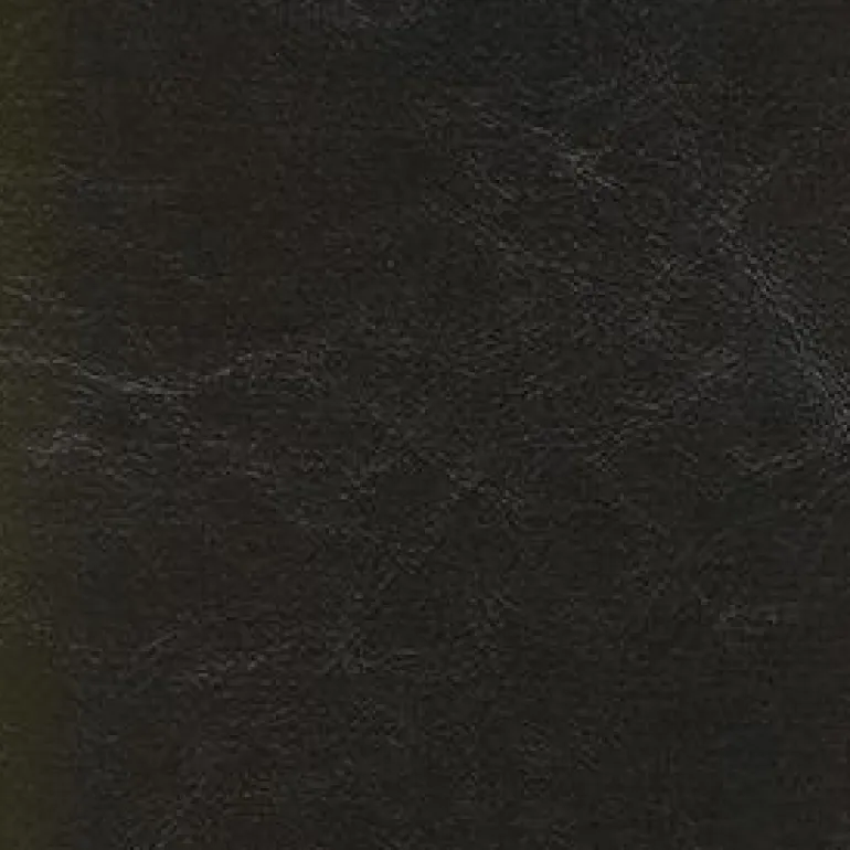 Islander 9155 Ebony Fabric