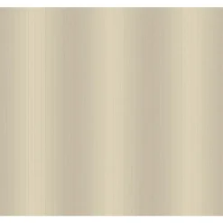 JC6008 Metallic Taupe Frame Texture Stria Wallpaper