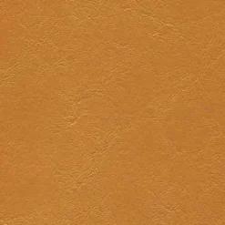 Jet Stream 011 Gold Rush Fabric