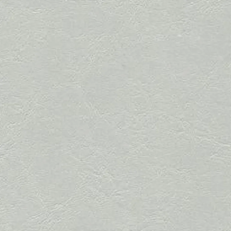Jet Stream 016 Lone Star Silver Fabric