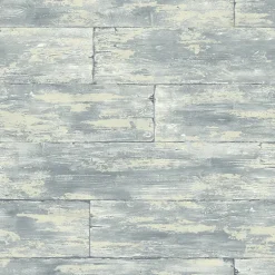 Kenneth James Palm Springs Shipwreck Wallpaper (2754_PS41008)