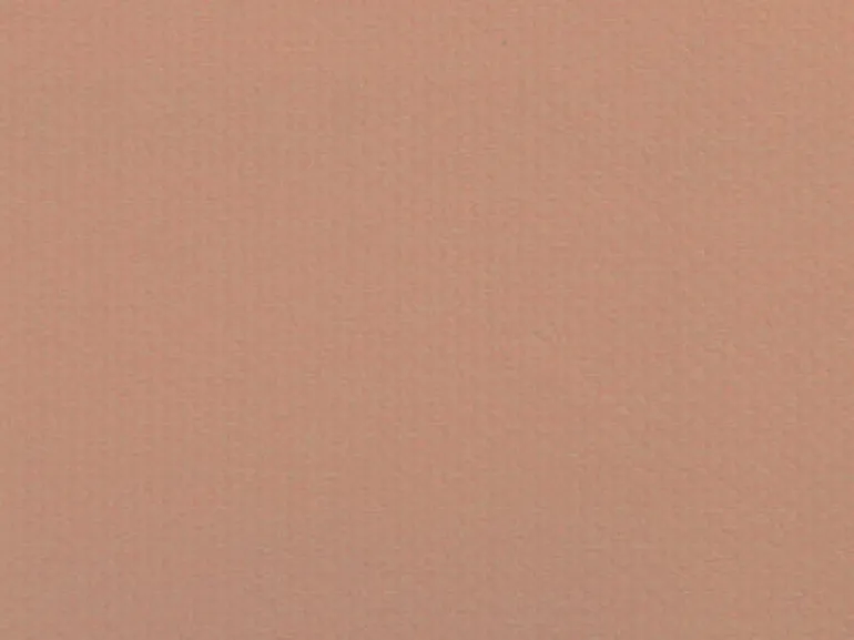 Komodo Blush Covington Fabric