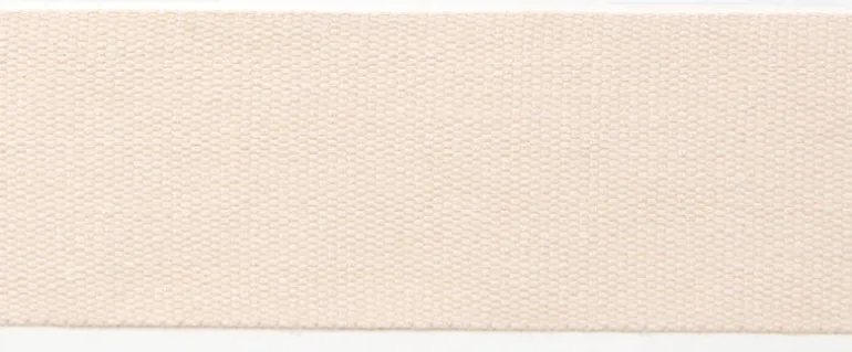 Le Lin 2" Tape Blush Europatex Trim