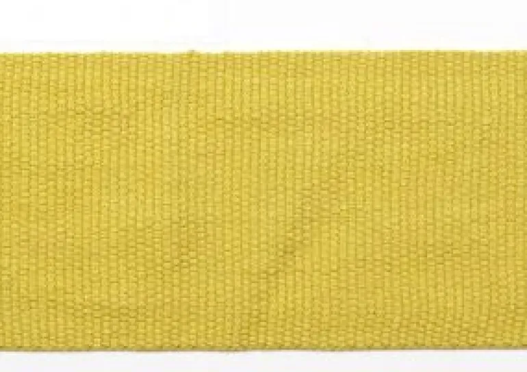 Le Lin 2" Tape Citrus Europatex Trim